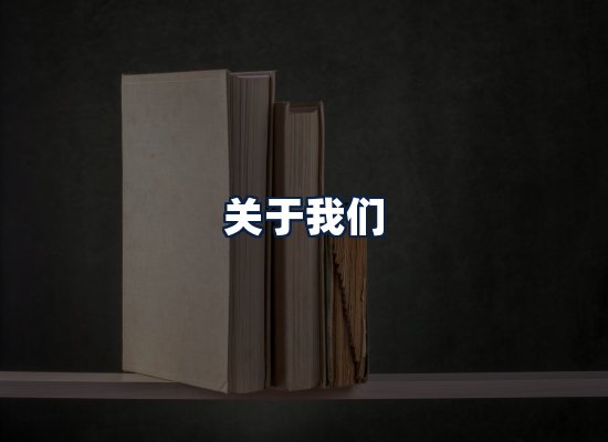 关于我们